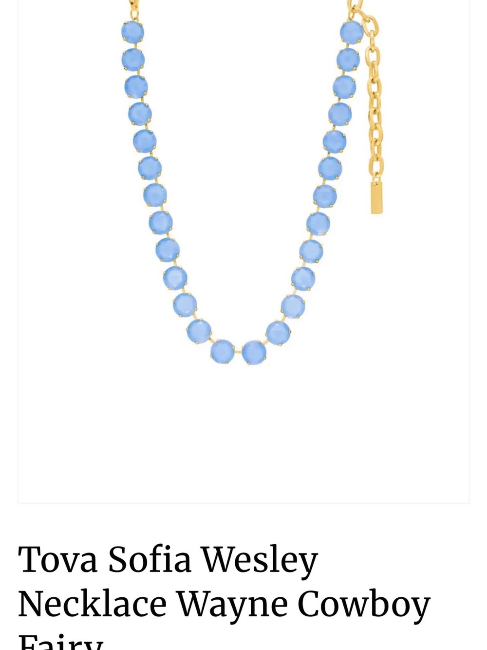 Blue Bead Necklace with Gold Chain